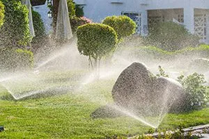 irrigation installation belleville il