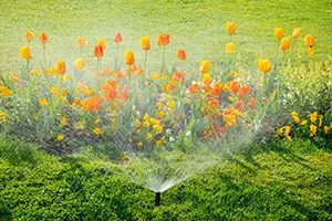 irrigation maintenance belleville illinois