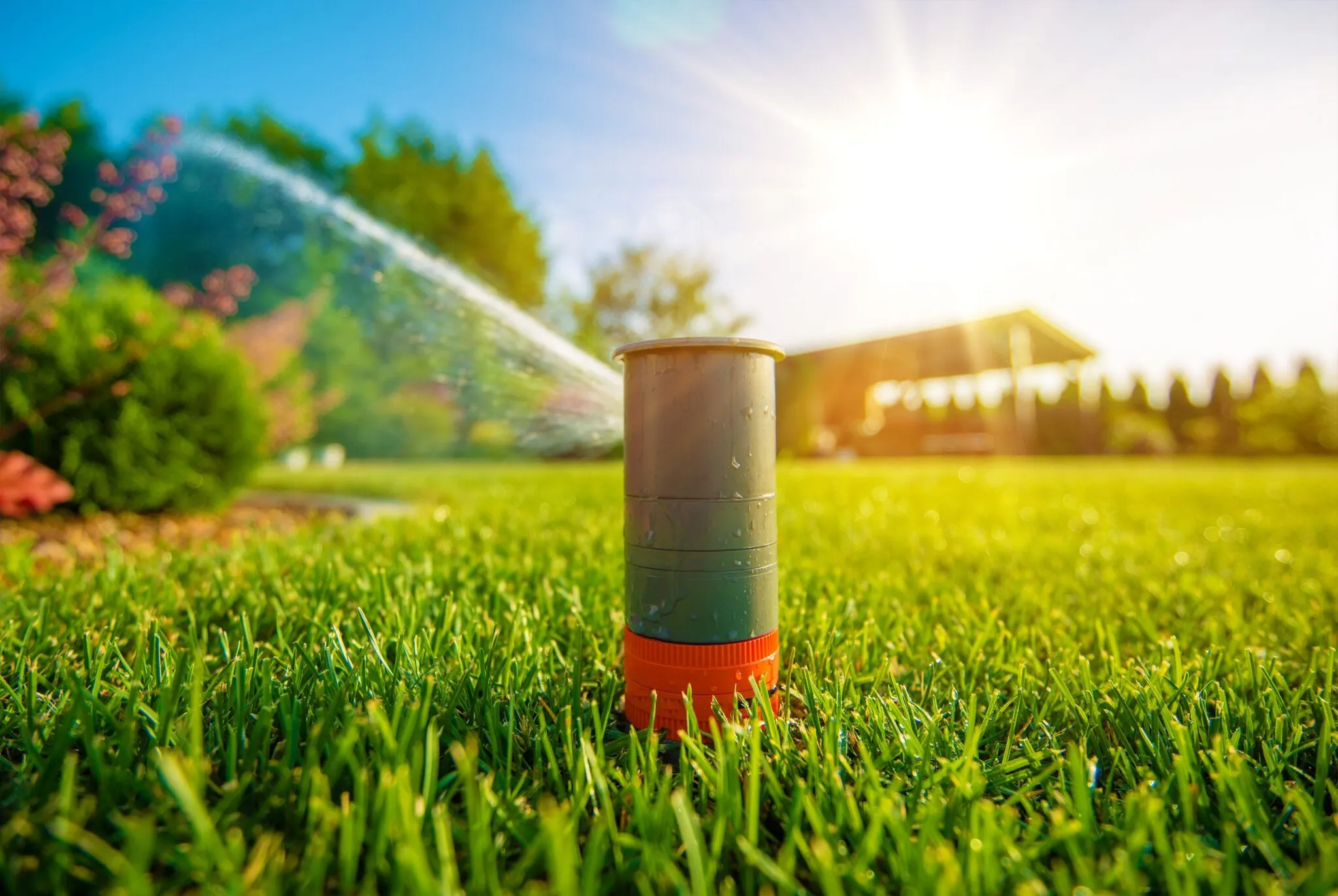 lawn sprinkler