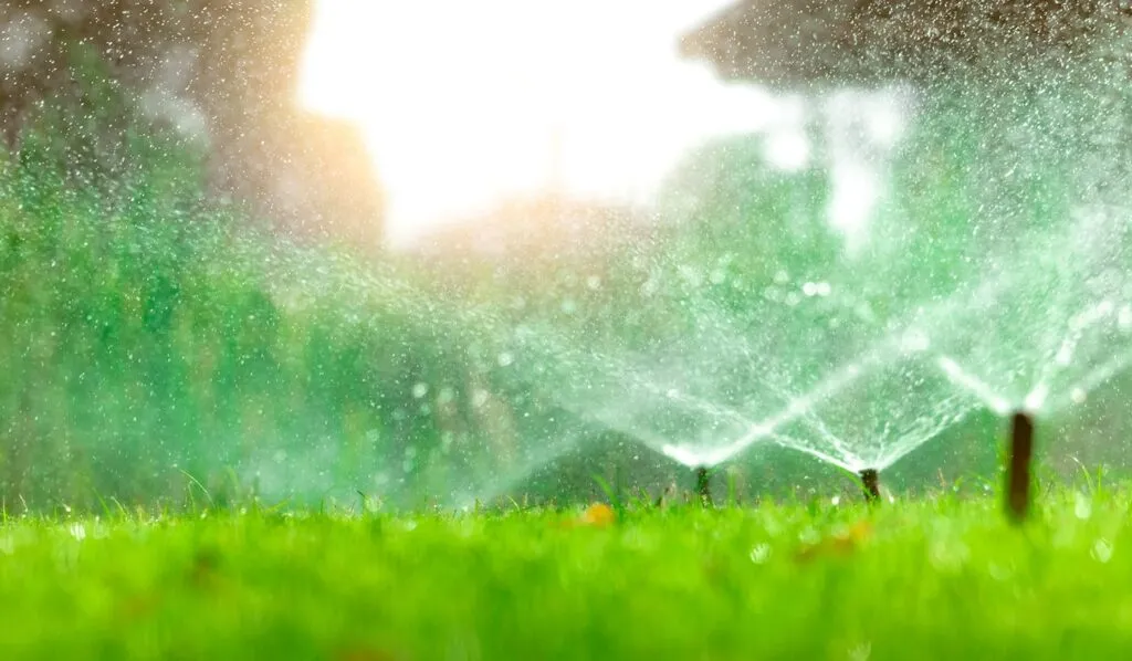 an irrigation tool that saves water