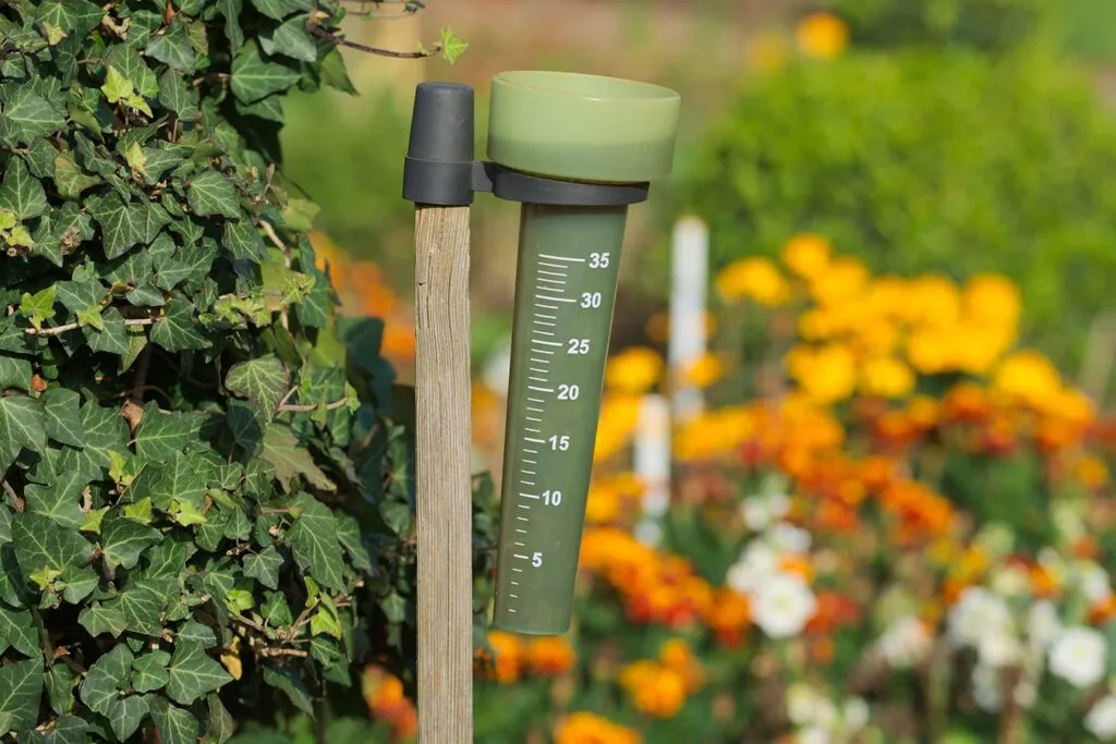 rain gauges help with your water conservation