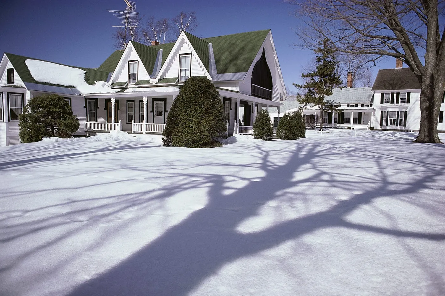 winter lawn care tips in O'Fallon Illinois