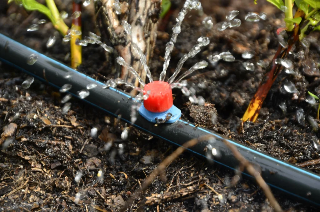 Drip Irrigation Fairview Heights, IL