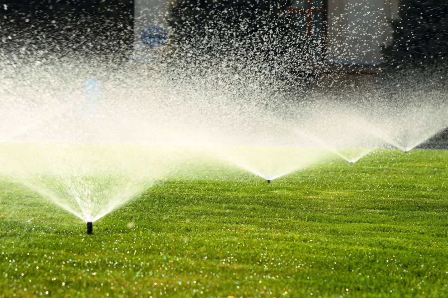 Belleville, IL Irrigation System benefits