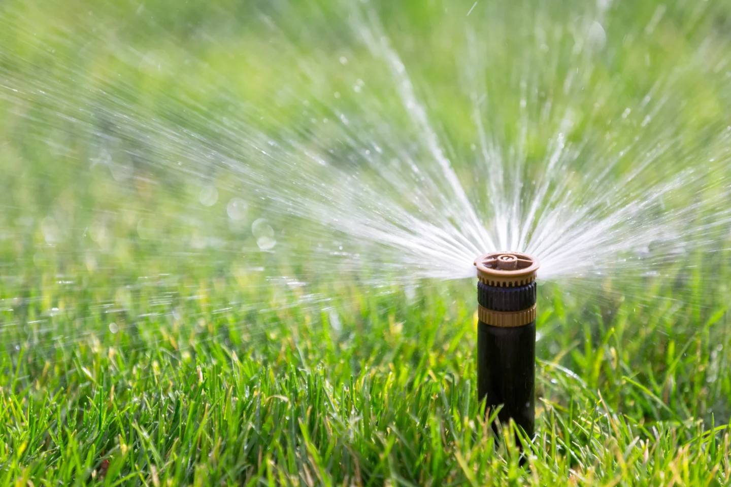 Irrigation System save water Granite City, IL