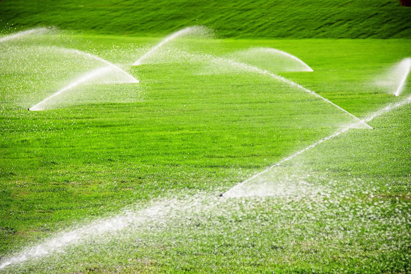 Summertime Irrigation Maryville, IL