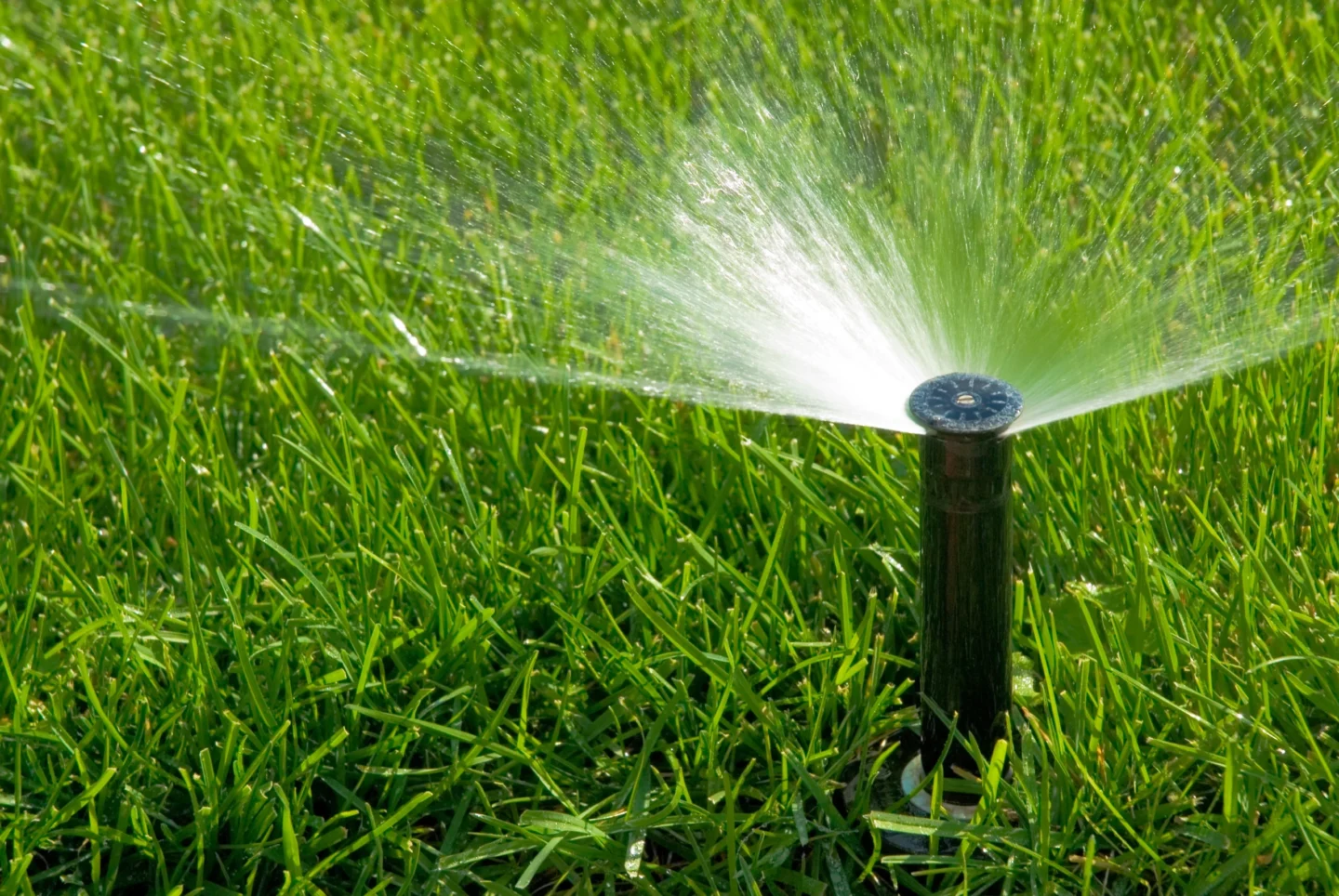 Sprinkler Issues O'Fallon, IL